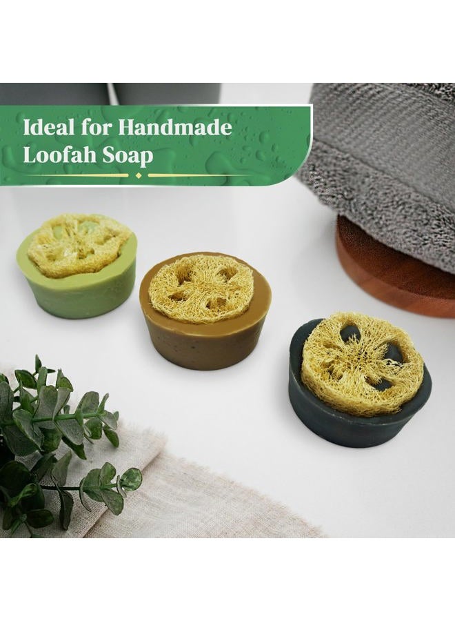 LooLife 100% Natural Loofah Slices for Soap Making (20 Pack) - Luffa Slices Cuts - Loofah Kit - Organic Soap Making Products - Loofah Sponge Natural - Loofah Soap - Hamster Chew Toys - Image 4